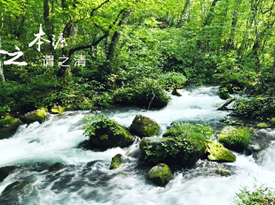 宪法宣传片展播——武陵区水利局《源生美化》