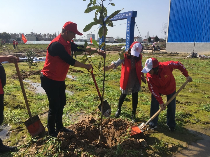 志愿者齐心协力植树培土.jpg