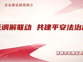 多元调解联动　共建平安法治武陵